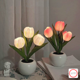 Newest LED Tulip Dream light Table Lamp