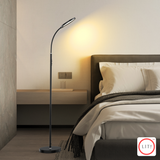 3CCT LED Floor Lamp with Remote Control