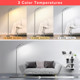 3CCT LED Floor Lamp with Remote Control