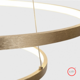 Modern Golden Ring Light Chandelier